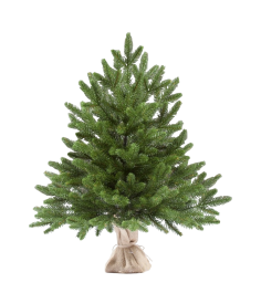 Ель искусственная Авелина 60 см