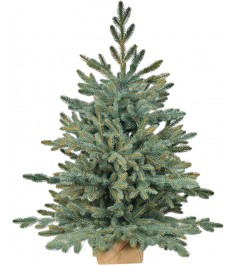 Ель искусственная Рождественская голубая Премиум  90 см...