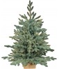Ель искусственная Рождественская голубая Премиум  90 см | NTC