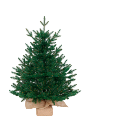 Ель искусственная Венера премиум 65 см