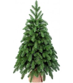 Искусственная новогодняя елка Царь Елка Афродита, литая, 90 см...