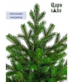 Ель Царь Елка Астерия Премиум 60см 3D