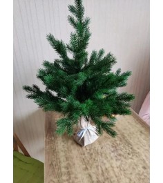 Ель Царь Елка Астерия Премиум 60см 3D