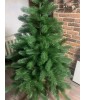 Сосна Царь елка Триумфальная 180 см ТМ-180