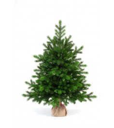 Ель Царь Елка Астерия Премиум 90см 3D